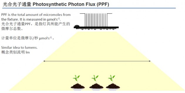 配圖04_光合光子通量jpg