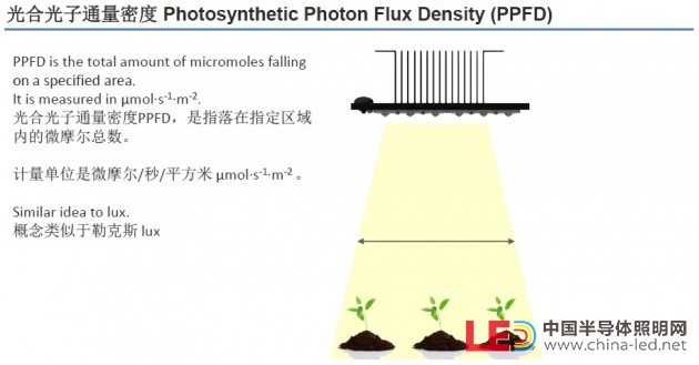 配圖05_光合光子通量密度