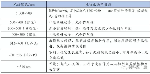 QQ截圖20190624153903