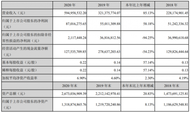 南大光電 2